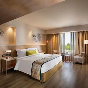 Habitación Deluxe con Cama King